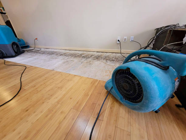 Professional Basement Flood Cleanup technician working in Badger, CA